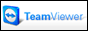 Team Viewer